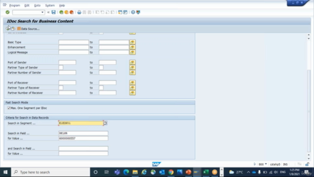 SAP IDoc Training for Functional Consultants - Screenshot_04
