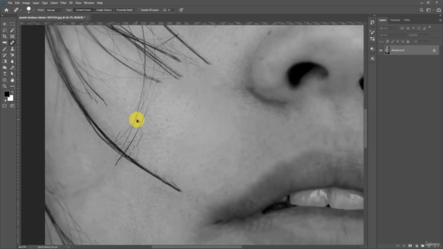 Fundamentals of Image Retouching Techniques: Adobe Photoshop – Screenshot 3