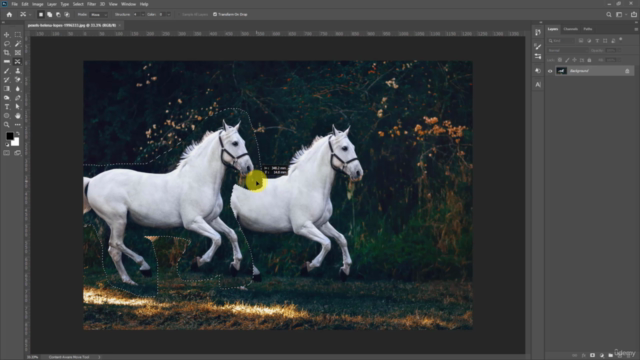 Fundamentals of Image Retouching Techniques: Adobe Photoshop – Screenshot 4