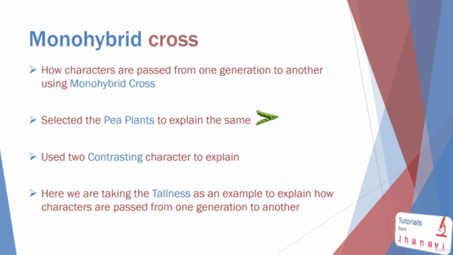 Genetics – Screenshot 1
