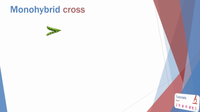 Genetics – Screenshot 3