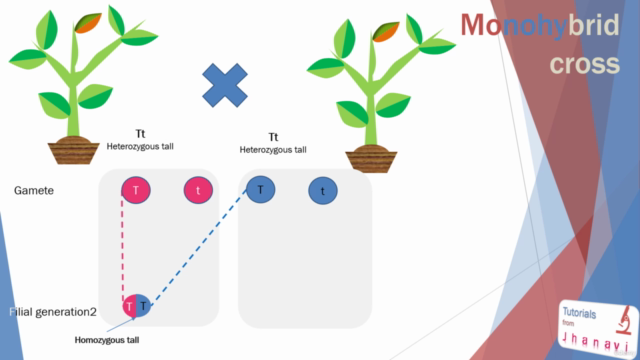 Genetics – Screenshot 4