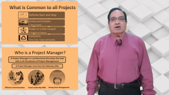 Project Management for Professionals – Screenshot 2
