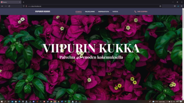 Professional Diploma in Web Design & Development – Screenshot 1