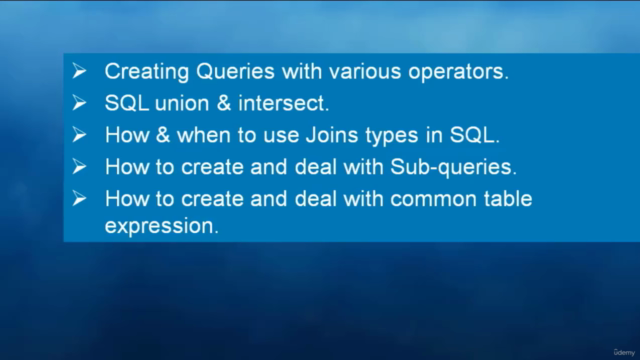 SQL Introduction Course 2024: SQL Crash Course. – Screenshot 2