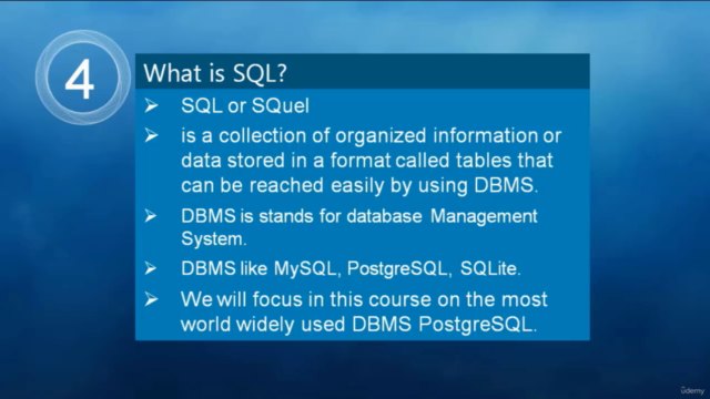 SQL Introduction Course 2024: SQL Crash Course. – Screenshot 3