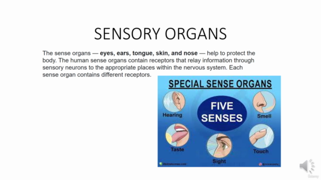 Short Term Course in Family Medicine of Sensory Disorders – Screenshot 2