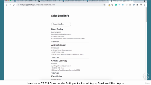 Learn SAP® BTP – Screenshot 3