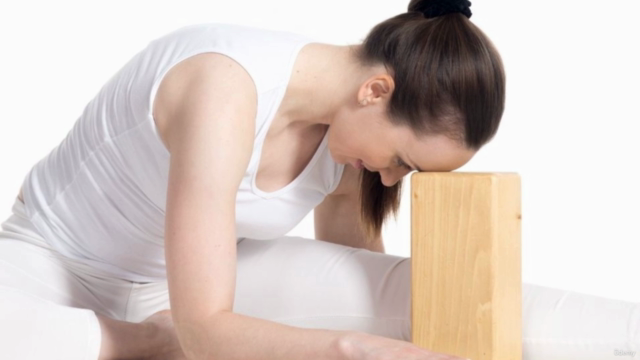 Yin Yoga & Chinese Medicine: Part 1 of 100-Hour – Screenshot 2