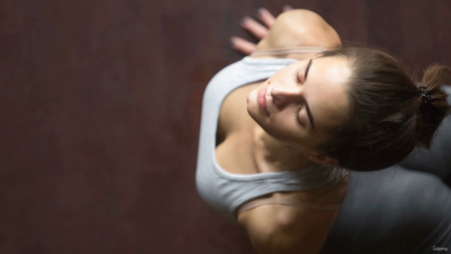 Yin Yoga & Chinese Medicine: Part 1 of 100-Hour – Screenshot 4