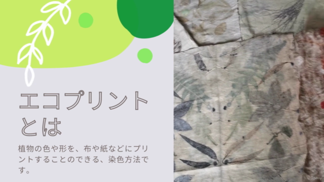 エコプリントの基礎 – Screenshot 1