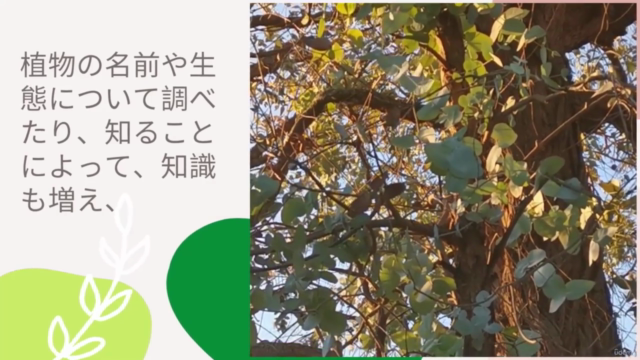 エコプリントの基礎 – Screenshot 2