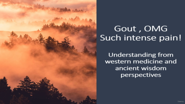 Gout. OMG Such Intense Pain – Screenshot 1