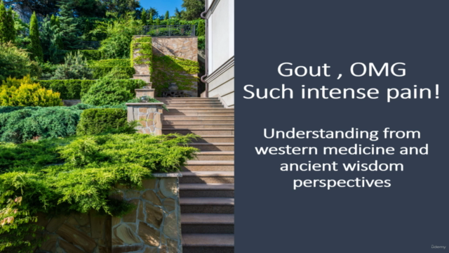 Gout. OMG Such Intense Pain – Screenshot 2