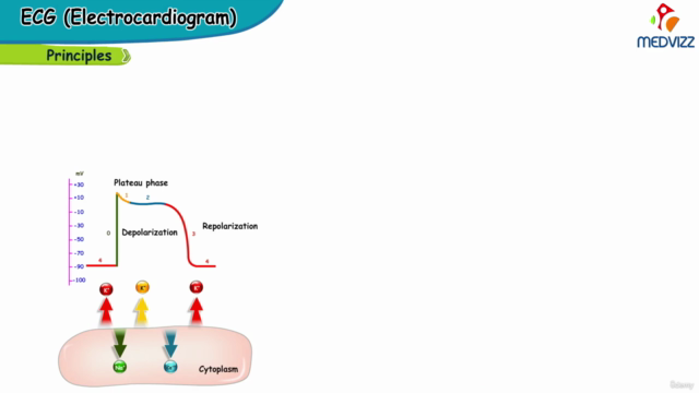 Certificate Course in ECG Interpretation/ Electrocardiogram – Screenshot 2