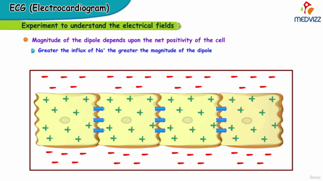 Certificate Course in ECG Interpretation/ Electrocardiogram – Screenshot 3