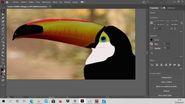 Illustrator 2021 – Screenshot 2