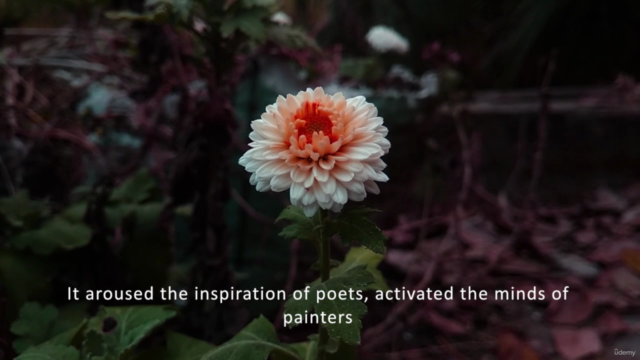 Chinese painting / Sumie course  : painting Chrysanthemum - Screenshot_01
