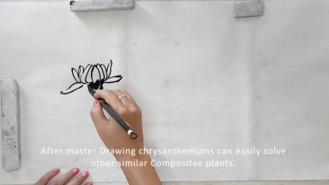 Chinese painting / Sumie course  : painting Chrysanthemum - Screenshot_02