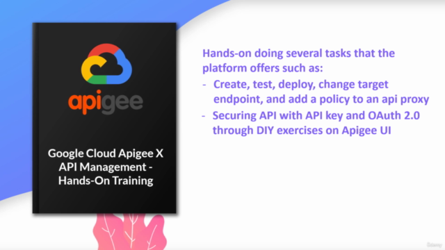 Google Cloud Apigee X API Management - Hands-On Training - Screenshot_03