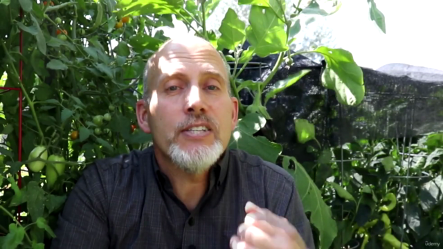 Gardening: The Basics of Saving Seeds from your Garden – Screenshot 1