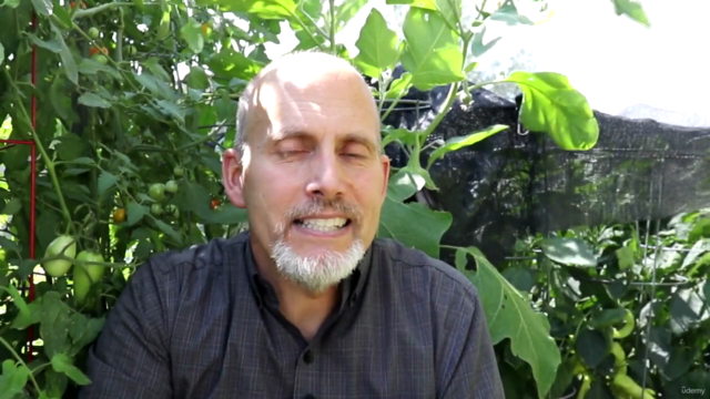 Gardening: The Basics of Saving Seeds from your Garden – Screenshot 2