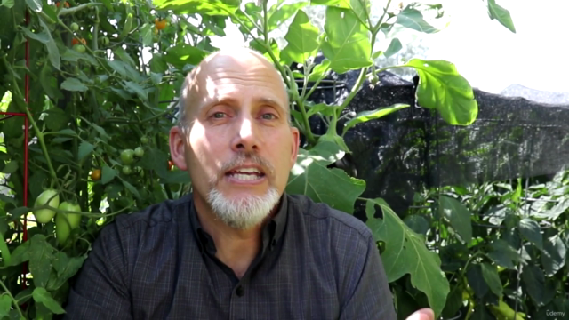Gardening: The Basics of Saving Seeds from your Garden – Screenshot 4