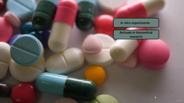 Introduction to drug development and discovery – Screenshot 2
