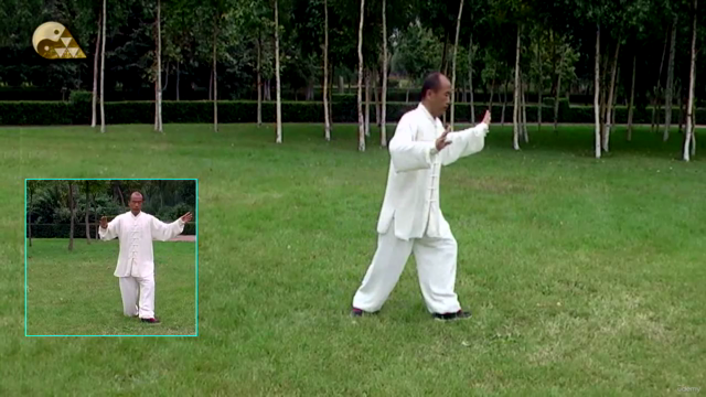 Chen-style Hunyuan Tai Chi 24 Forms by Zhang Jiping – Screenshot 2