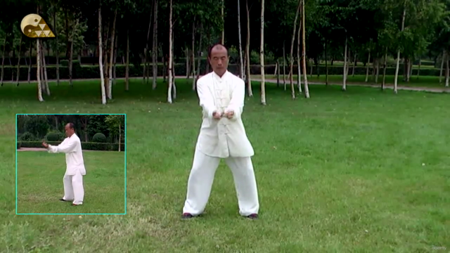 Chen-style Hunyuan Tai Chi 24 Forms by Zhang Jiping – Screenshot 3