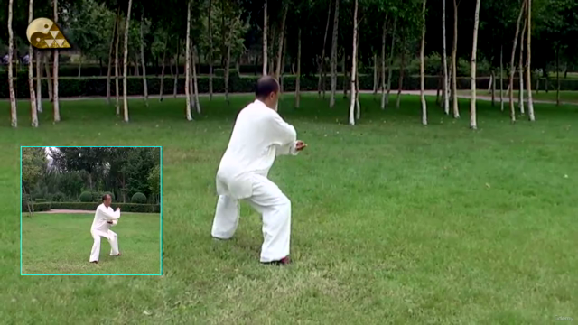 Chen-style Hunyuan Tai Chi 24 Forms by Zhang Jiping – Screenshot 4