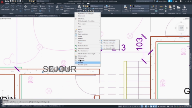 AutoCAD 2021 – Perfectionnement – Screenshot 4