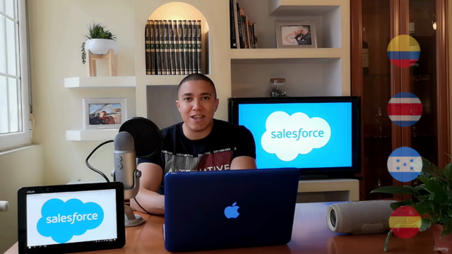 Salesforce Admin – Parte 2: Temas Avanzados (2025) – Screenshot 2
