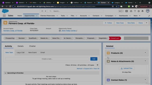 Salesforce Admin – Parte 2: Temas Avanzados (2025) – Screenshot 3
