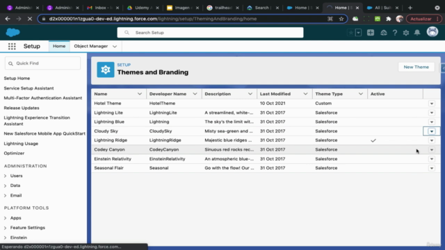 Salesforce Admin – Parte 2: Temas Avanzados (2025) – Screenshot 4