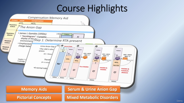 Acid-Base Disorders: From Basic to Advanced (Medical Course) – Screenshot 3