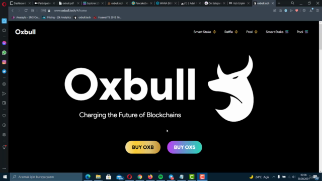 Adım Adım Ön Satışlardan Kripto Alarak Para Katlama Rehberi – Screenshot 1