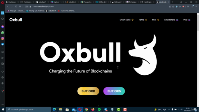 Adım Adım Ön Satışlardan Kripto Alarak Para Katlama Rehberi – Screenshot 4