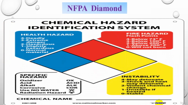 Your Way to Safety and Health World – Screenshot 4