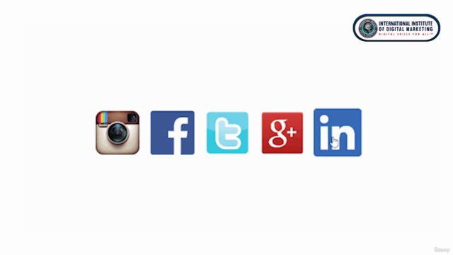 Licensed Digital Marketing Master™ with IIDM certification – Screenshot 2