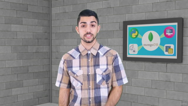 MongoDB Database Developer Course In Python – Screenshot 2
