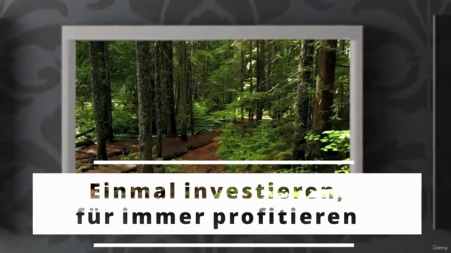Magix Video Deluxe für Einsteiger – Screenshot 2