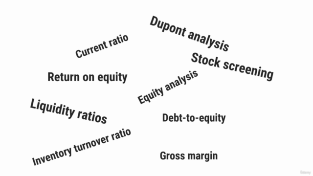 A Beginners Guide to Financial Ratio Analysis – Screenshot 2