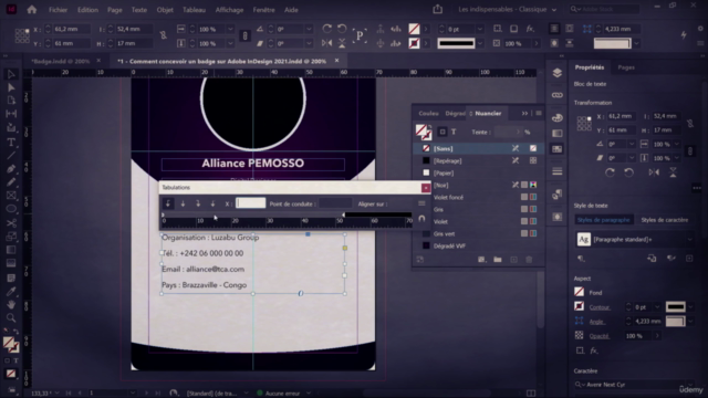 Adobe InDesign - Marathon débutant à intermédiaire – Screenshot 2