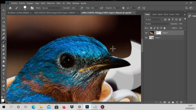 Pack del diseñador (Illustrator,Photoshop,html y css) – Screenshot 1