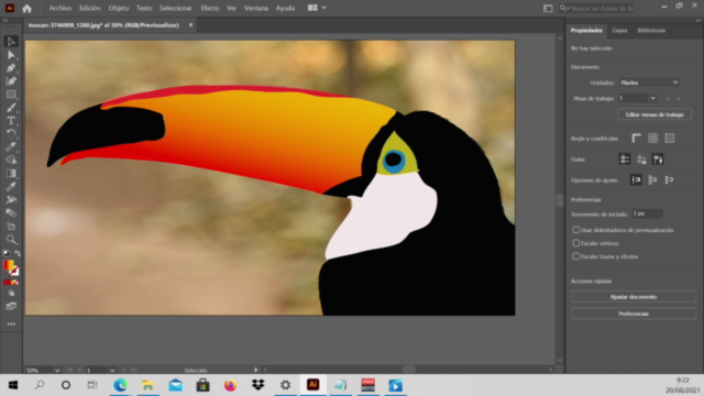 Pack del diseñador (Illustrator,Photoshop,html y css) – Screenshot 3