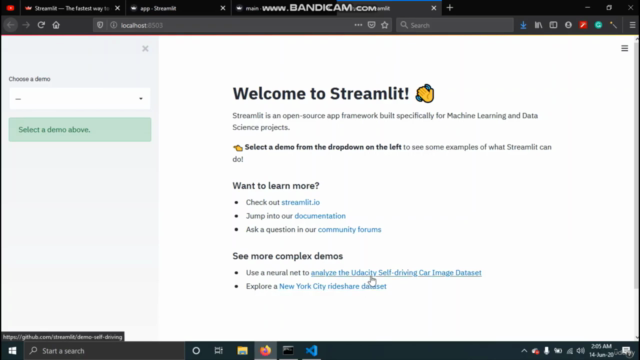 Basics of Streamlit – Screenshot 3