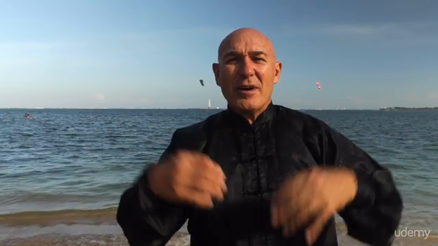 Learn Secret Chinese Exercises: Live Stress Free & Happy – Screenshot 2