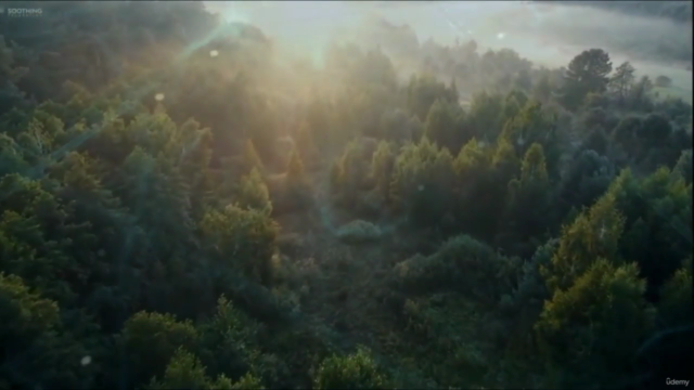 The 7 Governing Laws of the Universe – Screenshot 4