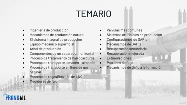 Inglés técnico para productividad de pozos petroleros – Screenshot 2